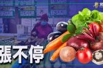 香港希望之聲