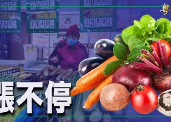 【財經觀察站】中美首腦會 擁抱熊貓派發揮影響 中國多地商品物價上漲