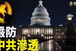 香港希望之聲