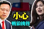 香港希望之聲