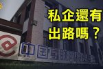 香港希望之聲 香港希望之聲