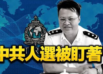 【每日要聞】國際刑警組織大會選舉 中共人選惹議；G7外長會登場 首邀東盟國意味深長，感恩節出遊潮 二千萬人次搭機考驗航空公司