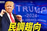 香港希望之聲