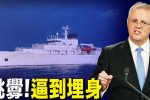 香港希望之聲 香港希望之聲