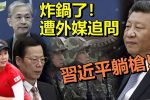 香港希望之聲 香港希望之聲