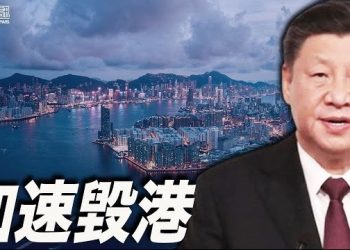 11月15日【香港簡訊】習近平比肩毛鄧 對港只會更強硬…