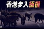 香港希望之聲