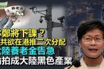 香港希望之聲