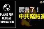 香港希望之聲 香港希望之聲