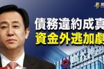香港希望之聲