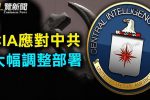 香港希望之聲