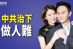 香港希望之聲 香港希望之聲