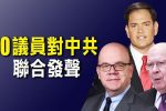 香港希望之聲