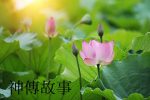 香港希望之聲