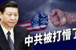 香港希望之聲 香港希望之聲