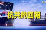 香港希望之聲