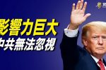香港希望之聲