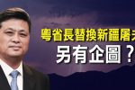 香港希望之聲 香港希望之聲