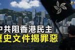 香港希望之聲