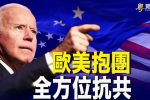 香港希望之聲