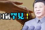 香港希望之聲