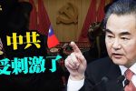 香港希望之聲 香港希望之聲