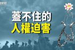香港希望之聲