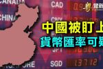 香港希望之聲