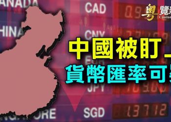 【粵覽新聞】美國再將中國列入匯率監察名單；佛州計劃自建不受聯邦指揮的民兵部隊；中共稱14億人口搞民主容易搞亂 引嘲諷