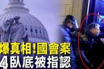 香港希望之聲