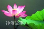 香港希望之聲