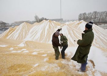 中共宣傳今年糧食增收2% 卻不提糧食進口暴增23%