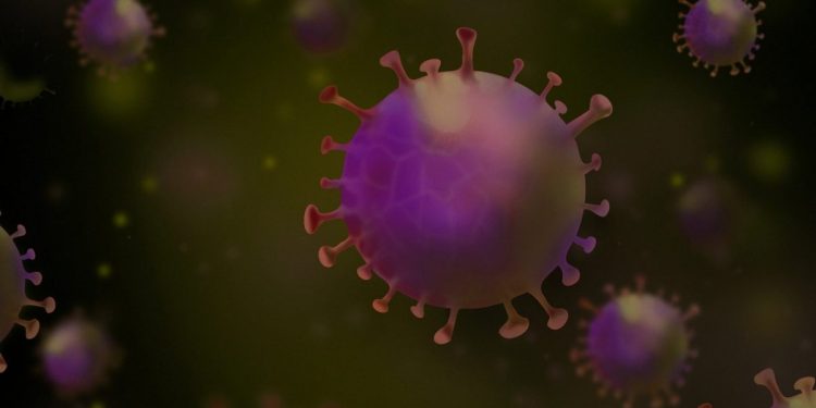 變種中共病毒Omicron來勢洶洶,中共至今堅持「清零」政策,但檔不了入侵,天津12月13日通報Omicron首例。病毒示意圖。(pixabay)
