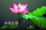 香港希望之聲