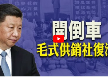 習宣布建設全國統一市場 毛時代“供銷社”復活