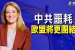 香港希望之聲