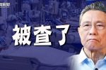 香港希望之聲