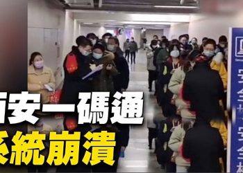 防疫靠數字 西安一碼通崩潰完成「清零」任務？
