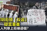 香港希望之聲