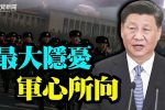 香港希望之聲 香港希望之聲