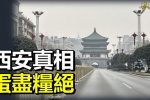 香港希望之聲 香港希望之聲