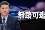 香港希望之聲