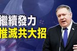 香港希望之聲
