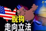 香港希望之聲