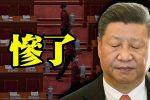 香港希望之聲
