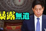 香港希望之聲