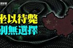 香港希望之聲