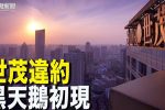 香港希望之聲 香港希望之聲