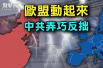 香港希望之聲 香港希望之聲