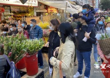 中國新年將至 港人疫情下忙購年花